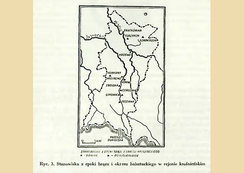 Miniatura: Tom 1, s. 46