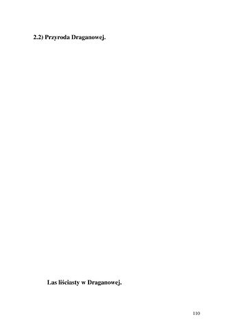 Strona 110 pracy „Nazwy sprzętów kuchennych, produktów spożywczych i posiłków w polszczyźnie mówionej mieszkańców Draganowej koło Dukli”