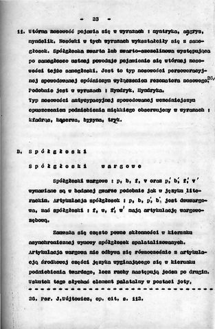 Strona 28 pracy „Gwara Draganowej”