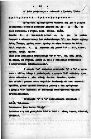 Strona 33 pracy „Gwara Draganowej”