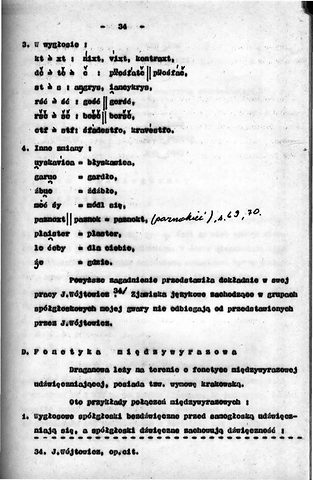 Strona 39 pracy „Gwara Draganowej”