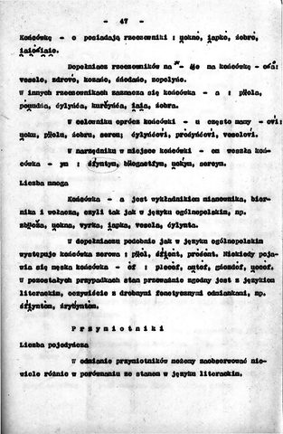 Strona 53 pracy „Gwara Draganowej”