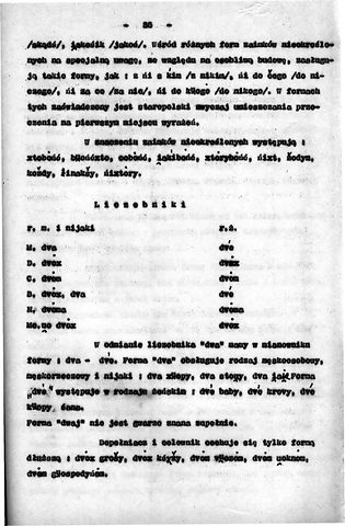 Strona 61 pracy „Gwara Draganowej”