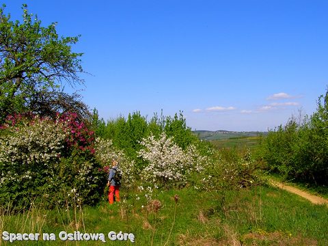 Draganowa — fotografia 35