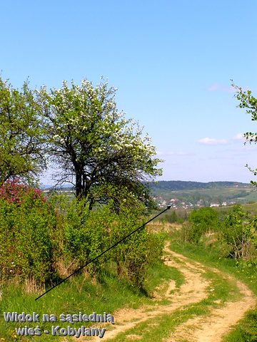 Draganowa — fotografia 37