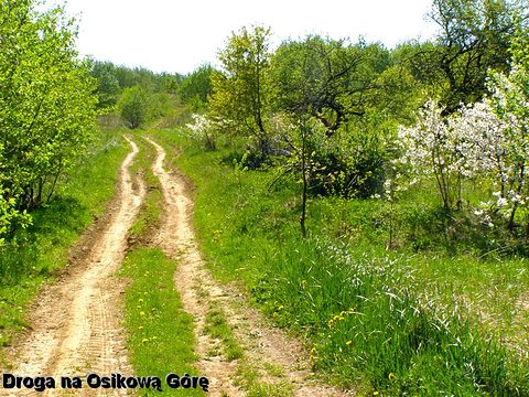 Draganowa — fotografia 8