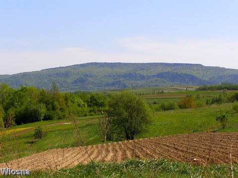 Draganowa — fotografia 41
